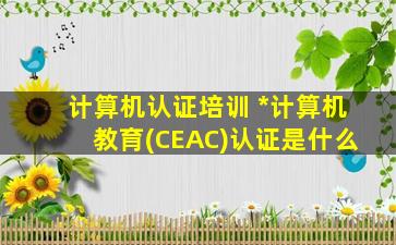 计算机认证培训 *计算机教育(CEAC)认证是什么